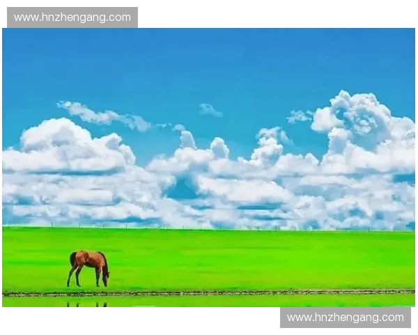 草原激情再燃蒙古足球联赛展现草原雄风与民族竞技精神